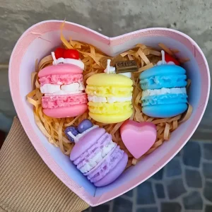MOLDE SILICONA MACARONS- 4 CAVIDADES