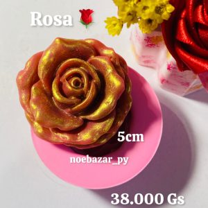 ROSA-NB MOLDES