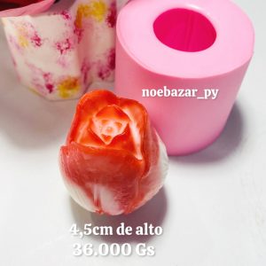ROSA CAPULLO-NB MOLDES