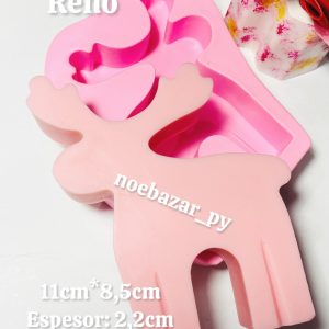 RENO-NB MOLDES